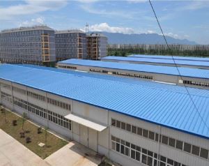 धातु फ़्रेम वेअरहाउस